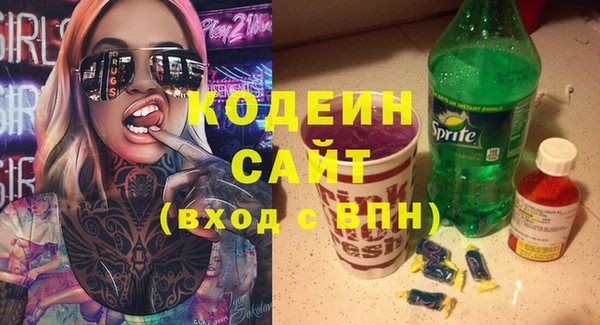 прущий лед Богданович