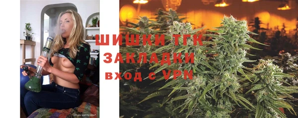 ГАЛЛЮЦИНОГЕННЫЕ ГРИБЫ Богородск