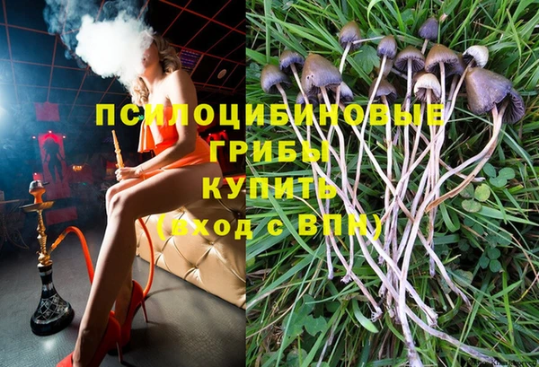 ГАЛЛЮЦИНОГЕННЫЕ ГРИБЫ Богородск