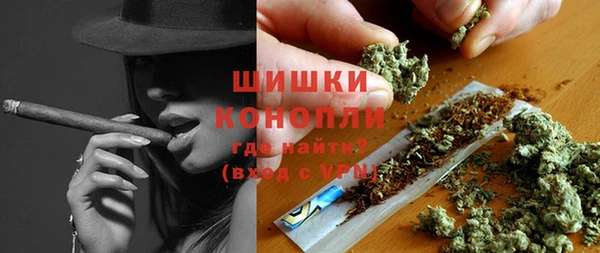 прущий лед Богданович