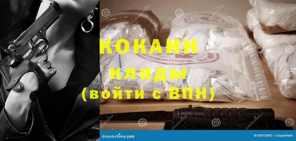 прущий лед Богданович