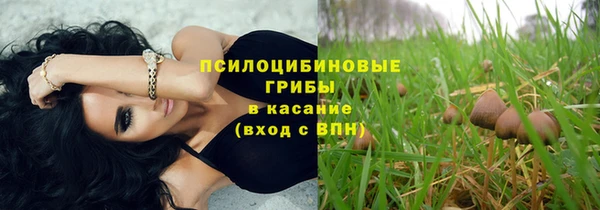 ГАЛЛЮЦИНОГЕННЫЕ ГРИБЫ Богородск