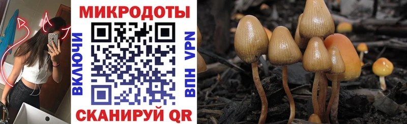 Галлюциногенные грибы мицелий  blacksprut онион  Бузулук 