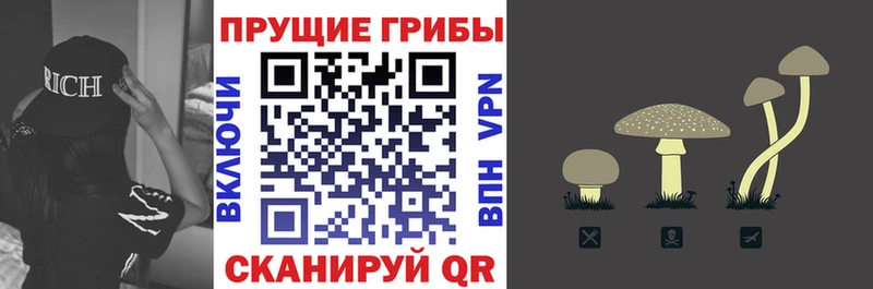 Галлюциногенные грибы мухоморы Бузулук